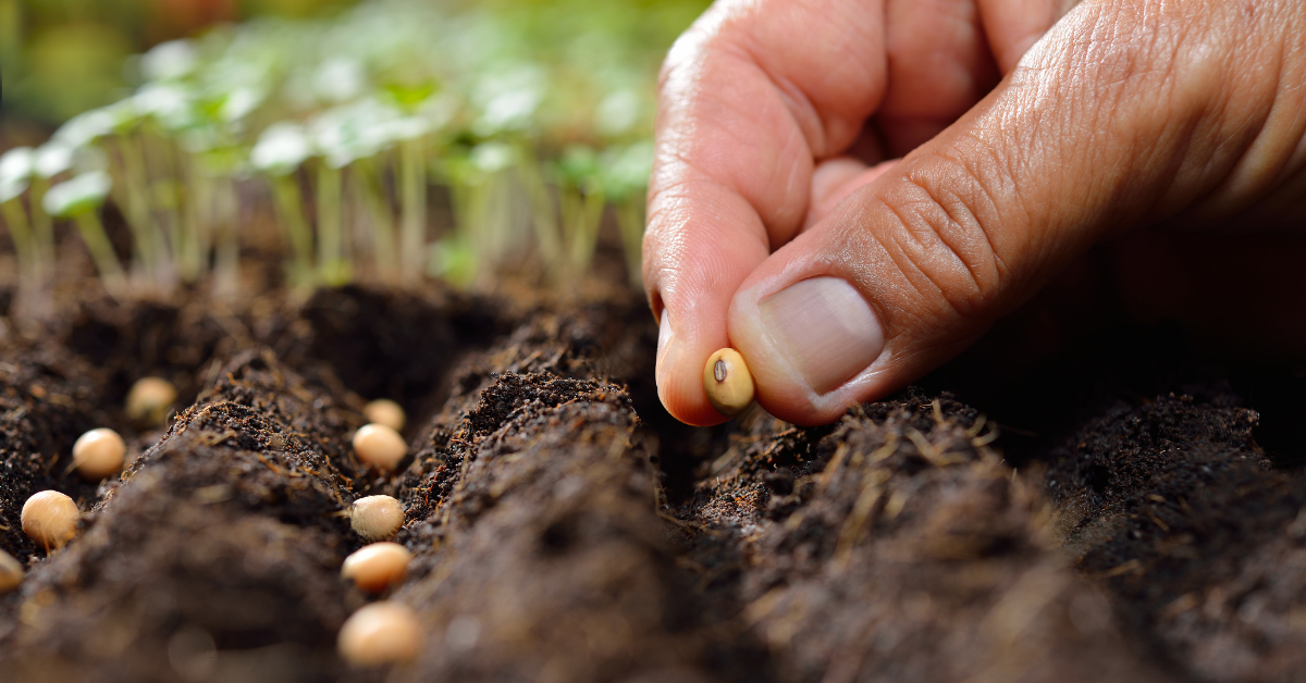 Planting a seed - Heritage Oaks Full Gospel Church